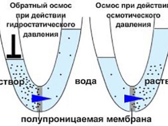 Осмос для акваріума (14 фото): що це таке і для чого потрібен зворотний осмос? Пристрій системи ремінералізації води