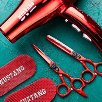 Перукарські інструменти (37 фото): список професійних приладдя для перукаря. «Мустанг», «Хитэк-груп» та інші виробники. Як вибрати?