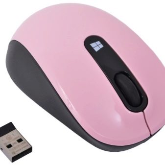 Подарунки колезі на день народження: готуємо оригінальні сюрпризи для співробітника своїми руками, вибираємо символічний подарунок