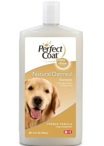 Помісь дворняги і вівчарки (14 фото): характеристики метиса, особливості характеру. Зміст цуценят