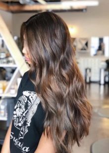 Попелясто-каштановий колір волосся (30 фото): кому підійде темно-шоколадний попелястий відтінок? Як фарбувати волосся?