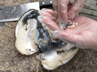 Річкові перли (17 фото): що це таке? Відмінності прісноводних перлів від морського, властивості і видобуток в Росії. Як відрізнити камінь від підробки?