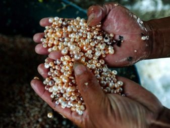 Річкові перли (17 фото): що це таке? Відмінності прісноводних перлів від морського, властивості і видобуток в Росії. Як відрізнити камінь від підробки?