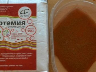 Рибка комета (29 фото): різновиди золотої акваріумної риби комета червона і чорна, утримання в акваріумі і догляд. Скільки вони живуть? Як відрізнити самця від самки?