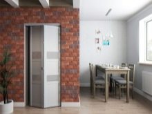 Розсувні двері на кухню: вибираємо кухонні висувні двері-гармошки. Скляні зсувні двері в інтер’єрі