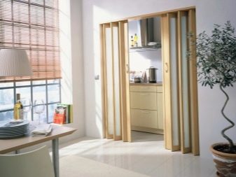 Розсувні двері на кухню: вибираємо кухонні висувні двері-гармошки. Скляні зсувні двері в інтер’єрі