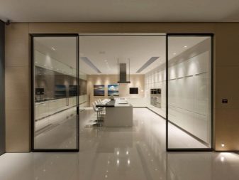 Розсувні двері на кухню: вибираємо кухонні висувні двері-гармошки. Скляні зсувні двері в інтер’єрі