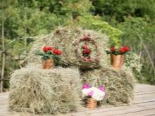 Сільське весілля: опис і традиції урочистості в сільському стилі