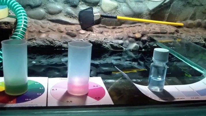 «Сайдекс» для акваріума (13 фото): інструкція із застосування, дозування «Сайдекса» проти водоростей