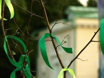 Що подарувати чоловікові на дерев’яну весілля? Вибираємо прикольні подарунки з дерева на 5 років спільного життя