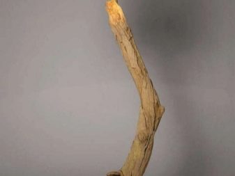 Що подарувати чоловікові на дерев’яну весілля? Вибираємо прикольні подарунки з дерева на 5 років спільного життя