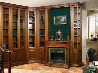 Шафи у вітальню (69 фото): шафа для одягу на всю стіну в зал і орні вбудовані шафи, радіусний сучасний шафа та інші моделі