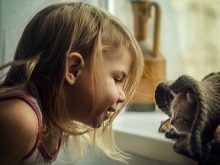 Шипящая кішка (17 фото): причини шипіння кота на певної людини. Що робити, якщо кішка кидається на свого господаря і інших людей?