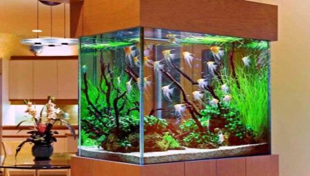 Штучні рослини для акваріума (21 фото): вибір акваріумних водоростей і трави. Як підготувати їх до акваріума і чим обробити?