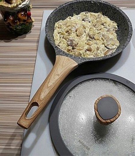 Сковороди Nadoba: млинцеві сковорідки і сковорода-гриль, серії Mineralia, Vilma та інші. Відгуки покупців