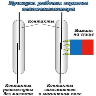 Спідометри для велосипеда: велосипедні механічні та електронні вимірювачі швидкості, стрілочні і інші варіанти. Як вибрати кращий?