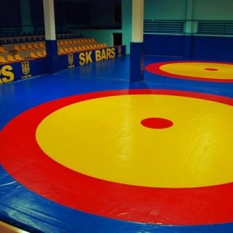 Спортивні мати (38 фото): будо-мати «ластівчин хвіст» для дому та спортзалу, м’які татамі для занять спортом у залі, складні підлогові моделі і мати-пазли. Що краще вибрати?