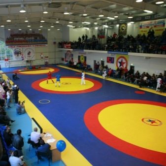 Спортивні мати (38 фото): будо-мати «ластівчин хвіст» для дому та спортзалу, м’які татамі для занять спортом у залі, складні підлогові моделі і мати-пазли. Що краще вибрати?