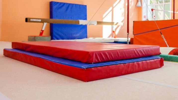 Спортивні мати (38 фото): будо-мати «ластівчин хвіст» для дому та спортзалу, м’які татамі для занять спортом у залі, складні підлогові моделі і мати-пазли. Що краще вибрати?