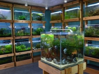 Стелаж для акваріумів (17 фото): огляд моделей стійок. Як і з чого зробити своїми руками акваріумний стелаж для дому?