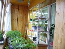Стелаж на балкон (55 фото): металеві і дерев’яні полички для квітів на лоджію, закриті кутові стелажі для зберігання коліс і інші моделі