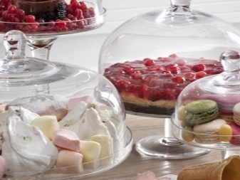 Тарілки з кришкою: металевий клош на підставці для подачі гарячих страв, прозорі скляні баранчики та інші види посуду