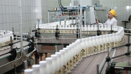 Технолог молочного виробництва: робота технологом в молочній промисловості, навчання професії та посадові обов’язки