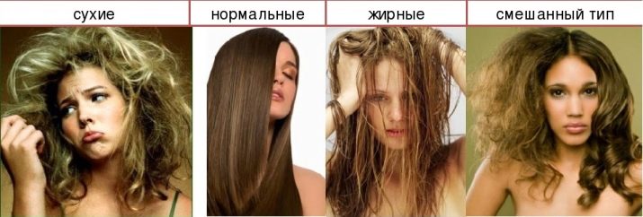 Термозахисні засоби для укладання волосся: вибираємо термозахисної засіб для відновлення волосся при їх укладанні плойкою, щипцями або феном