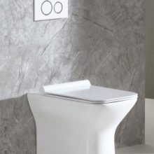 Унітази Belbagno: огляд підвісних і безободковых унітазів із серій Prospero і Alpina, Torino і Mattino, Ancona і Alba, Gala і Sfera. Відгуки