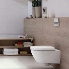 Вбудовані унітази (35 фото): плюси і мінуси вбудовуються в стіну унітазів. Огляд підлогових унітазів з кнопкою в стіні, характеристики і розміри