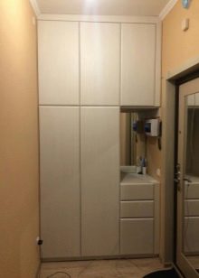 Вбудований шафу (108 фото): ідеї дизайну вбудованих конструкцій, кутові та розпашні моделі для маленького коридору, наповнення всередині, вузькі і господарські шафи