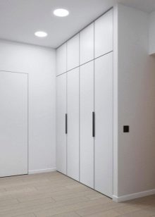 Вбудований шафу (108 фото): ідеї дизайну вбудованих конструкцій, кутові та розпашні моделі для маленького коридору, наповнення всередині, вузькі і господарські шафи