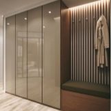 Вбудований шафу (108 фото): ідеї дизайну вбудованих конструкцій, кутові та розпашні моделі для маленького коридору, наповнення всередині, вузькі і господарські шафи