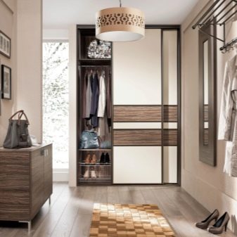 Вбудований шафу (108 фото): ідеї дизайну вбудованих конструкцій, кутові та розпашні моделі для маленького коридору, наповнення всередині, вузькі і господарські шафи