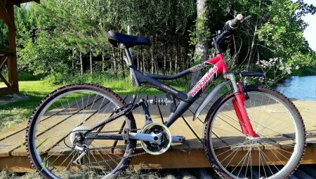 Велосипед MTB 26: характеристики гірського велосипеда від Top Gea і інших брендів з колесами 26 дюймів
