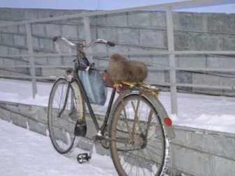 Велосипед «Орлятко» (13 фото): – характеристики і діаметр коліс. Розміри підліткових велосипедів