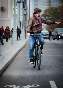 Велосипеди Dewolf: країна-виробник. Дитячі та дорослі моделі. Огляд велосипедів J160 Boy, J250 Girl і інших моделей. Відгуки
