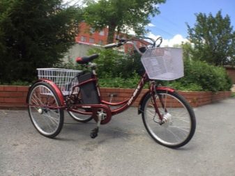 Велосипеди Izh-Bike: опис триколісного дорослого велосипеда Farme 24 дюйма і електричних велосипедів, інші моделі. Відгуки