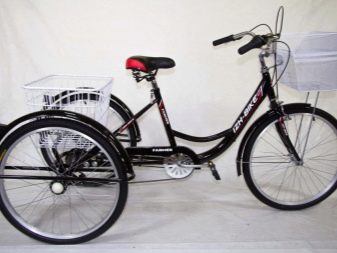 Велосипеди Izh-Bike: опис триколісного дорослого велосипеда Farme 24 дюйма і електричних велосипедів, інші моделі. Відгуки