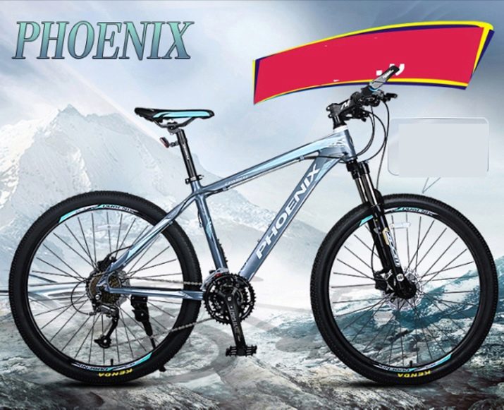 Велосипеди Phoenix: огляд дорослих моделей 20-24 і 26-29 дюймів. Характеристика та відгуки