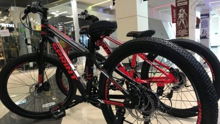 Велосипеди Tech Team: дитячі і дорослі велосипеди Luxury і Sprint 26, Elis і інші моделі. Відгуки