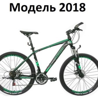 Велосипеди Tech Team: дитячі і дорослі велосипеди Luxury і Sprint 26, Elis і інші моделі. Відгуки