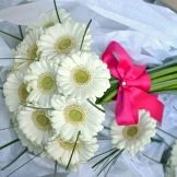 Весільний букет гербер (62 фото): вибираємо букет нареченої з білими герберами і трояндами на весілля