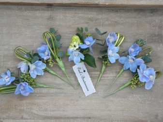 Весільний букет з польових квітів (45 фото): обираємо букет для нареченої з дельфініума