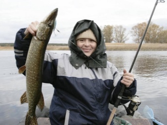 Водонепроникні шкарпетки (40 фото): як прати водонепроникні шкарпетки DexShell, відгуки