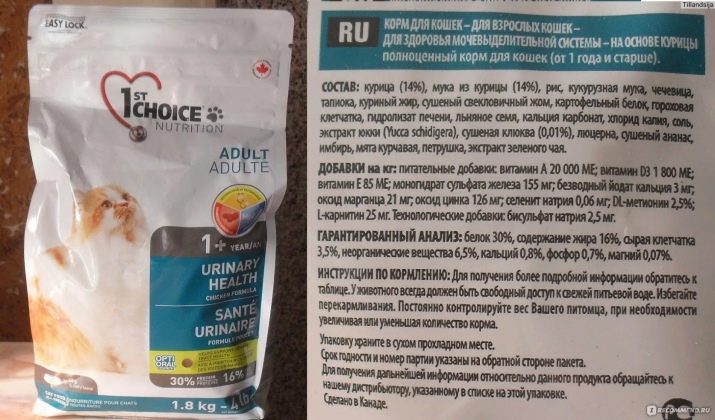 Вологий або сухий корм для кішок: яким краще годувати? Достоїнства і недоліки кормів, їх склад