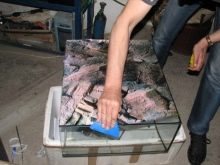 Як приклеїти фон на акваріум? 29 фото Як наклеїти плівку на задню стінку без бульбашок? Чим клеїти декоративну плівку в домашніх умовах?