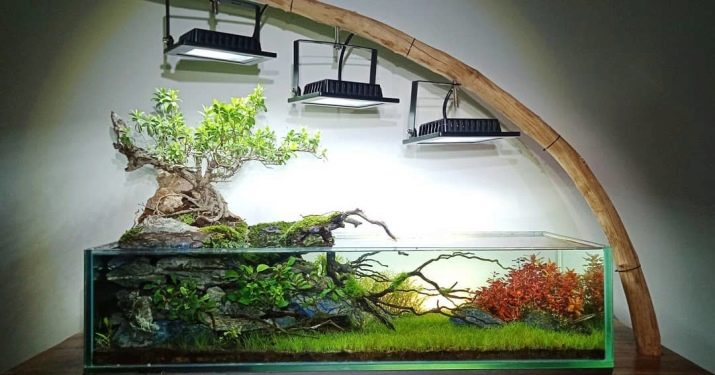 Як розрахувати обсяг акваріума? 20 фото Для чого потрібен розрахунок? Як порахувати в літрах? Як дізнатися за розмірами?