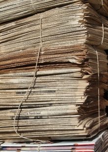 Як швидко привчити кошеня до лотка без наповнювача? Етапи приручення котів і кішок до решітці без наповнювача