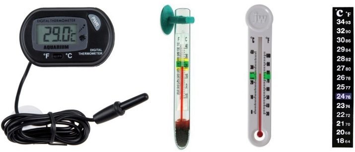 Якою повинна бути температура в акваріумі для рибок? 22 фото Оптимальна температура води. Як знизити її до потрібного градуса і підтримувати? Як визначити температуру акваріумним градусником?